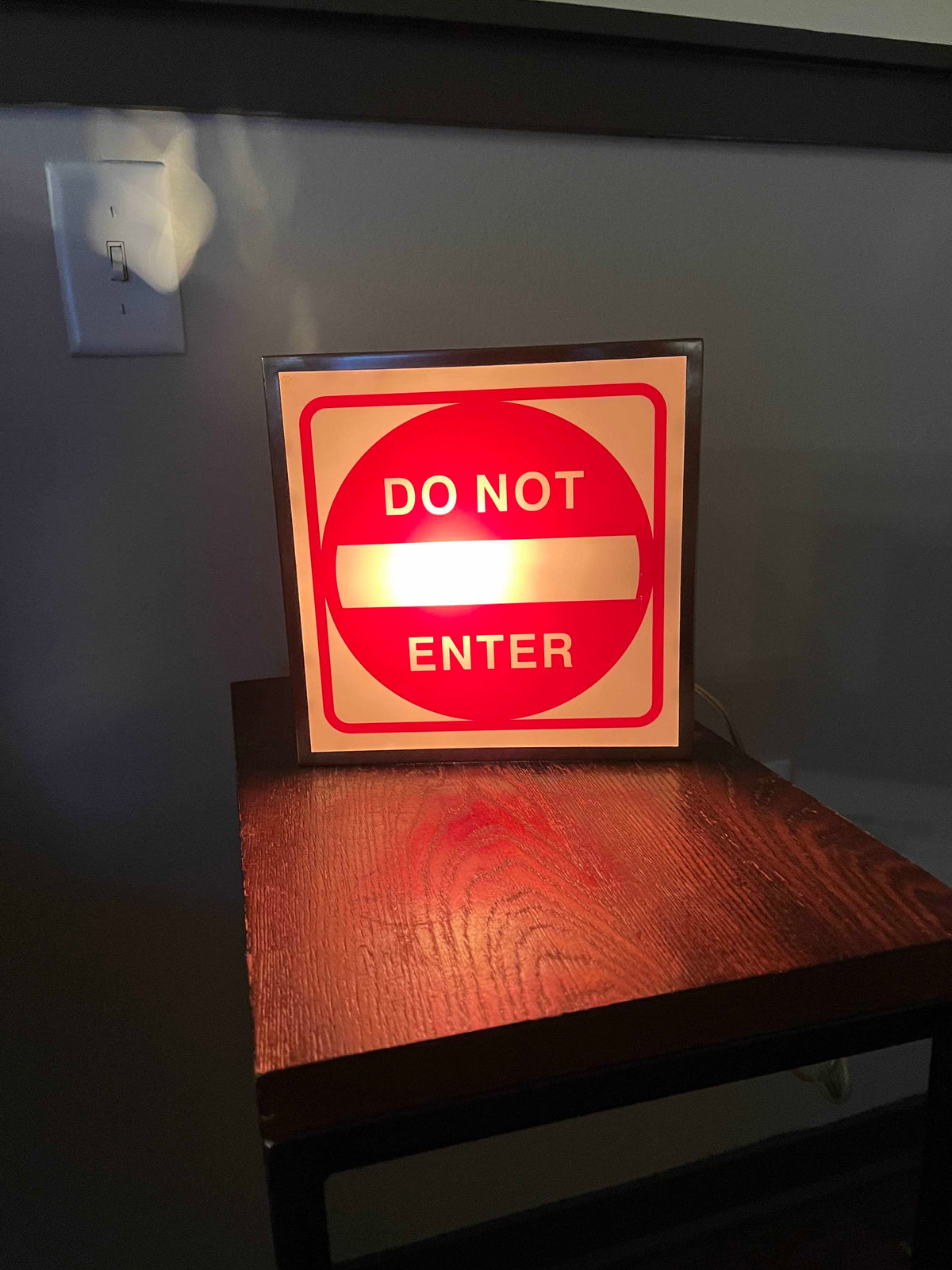 Do Not Enter Lighted Novelty sign- Zshop Zshop