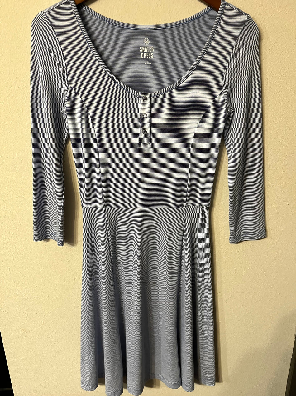 Skater Women's Size XS Dress